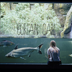 Curtain Call (Extended version)