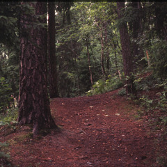 Sharron Kraus @ Torgerstuen