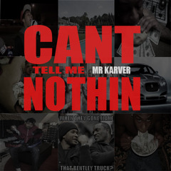 Can't Tell Me Nothin