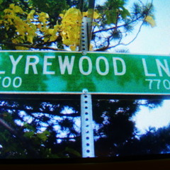 LYREWOOD LANE