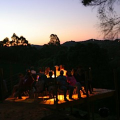 Neither fish nor fowl