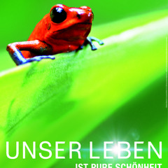 Unser Leben - Elefanten