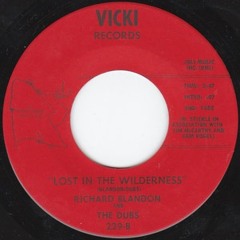 The Dubs - Lost in the Wilderness (Disgust Doo Hop Reedit)