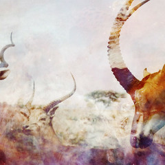 Dj Evrei - Mishka Anniversary