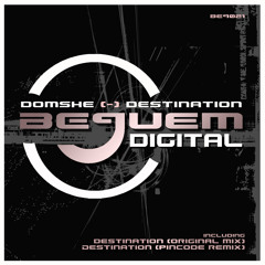Domshe-Destination (PinCode remix) promo cut