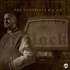 Notorious H.A.F.T. - Schock (Fid Mella RMX)