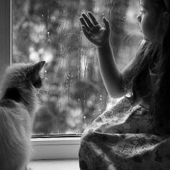 Sound of Pouring Rain Showers with Rainy Pictures [HD] (myRainMusic.com Edition)