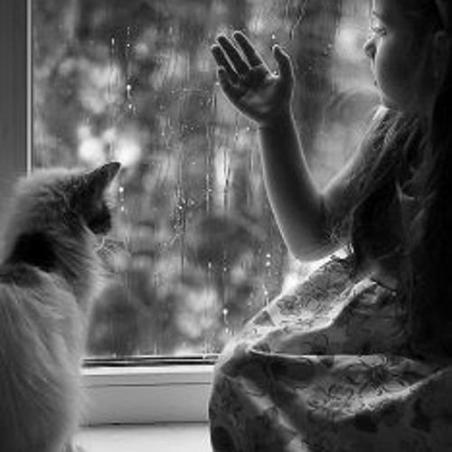 Sound of Pouring Rain Showers with Rainy Pictures [HD] (myRainMusic.com Edition)
