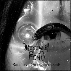 Rats Live On No Evil Star Feat. Brandon Burke