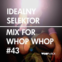 Idealny Selektor - Neromantic Mixtape (Anitkings Records AK007/WhopWhop mix)