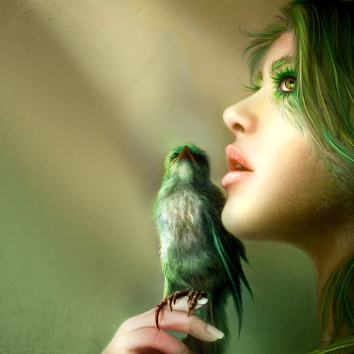 Vansam - Bird (Distant Keys  & Djase Dub Remix)