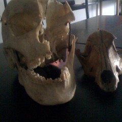 "Daddy" (Sylvia Plath recites her poem w/Kraftwerk music 'The Model' by Balanescu String Quartet)