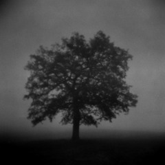 SKOPJE - "Sheeka" Final Album Master