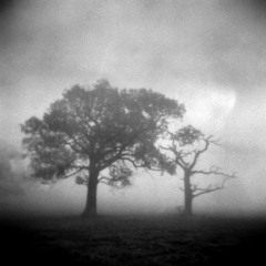 SKOPJE - "The Long Cedar Road" Final Album master