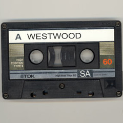 Wild Bunch (Massive Attack)