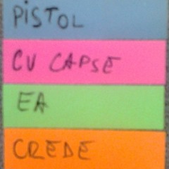 Pistol cu capse-Ea crede (cover)