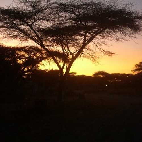 Yene Tizita/My Memories