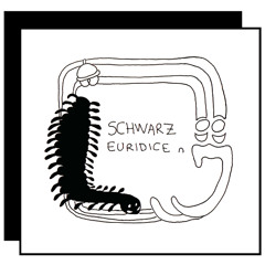schwarz euridice
