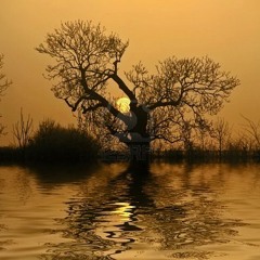 SissCok - Behind the Tree soon on ADRO records