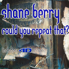 Shane Berry - Could You Repeat That (4D Remix)