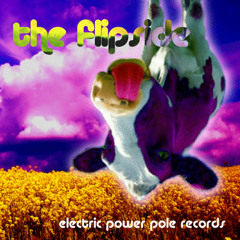 Sonic Tickle - Basslinebitch (Electric Power Pole Rec)