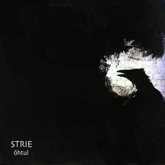 Strië - Arabesque