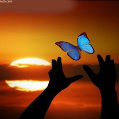 คิม ปริย เพิ่มพัฒนากุล - ใต้ฟ้าตะวันเดียว  [Ost. ใต้ฟ้าตะวันเดียว (Autumn Destiny)]