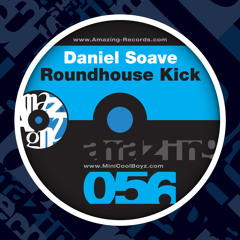Daniel Soave - Roundhouse Kick