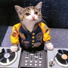 FREAKS ON THE MIX