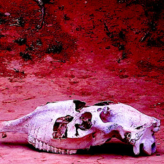 "He of the Assembly" Paul Bowles speaks