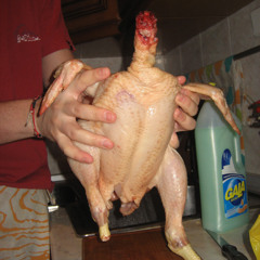 Chicken Dance dub remix