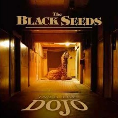 Sometimes Enough (The Black Seeds)