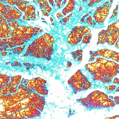 Siadwel Price - Set Me Free (John Cale cover)