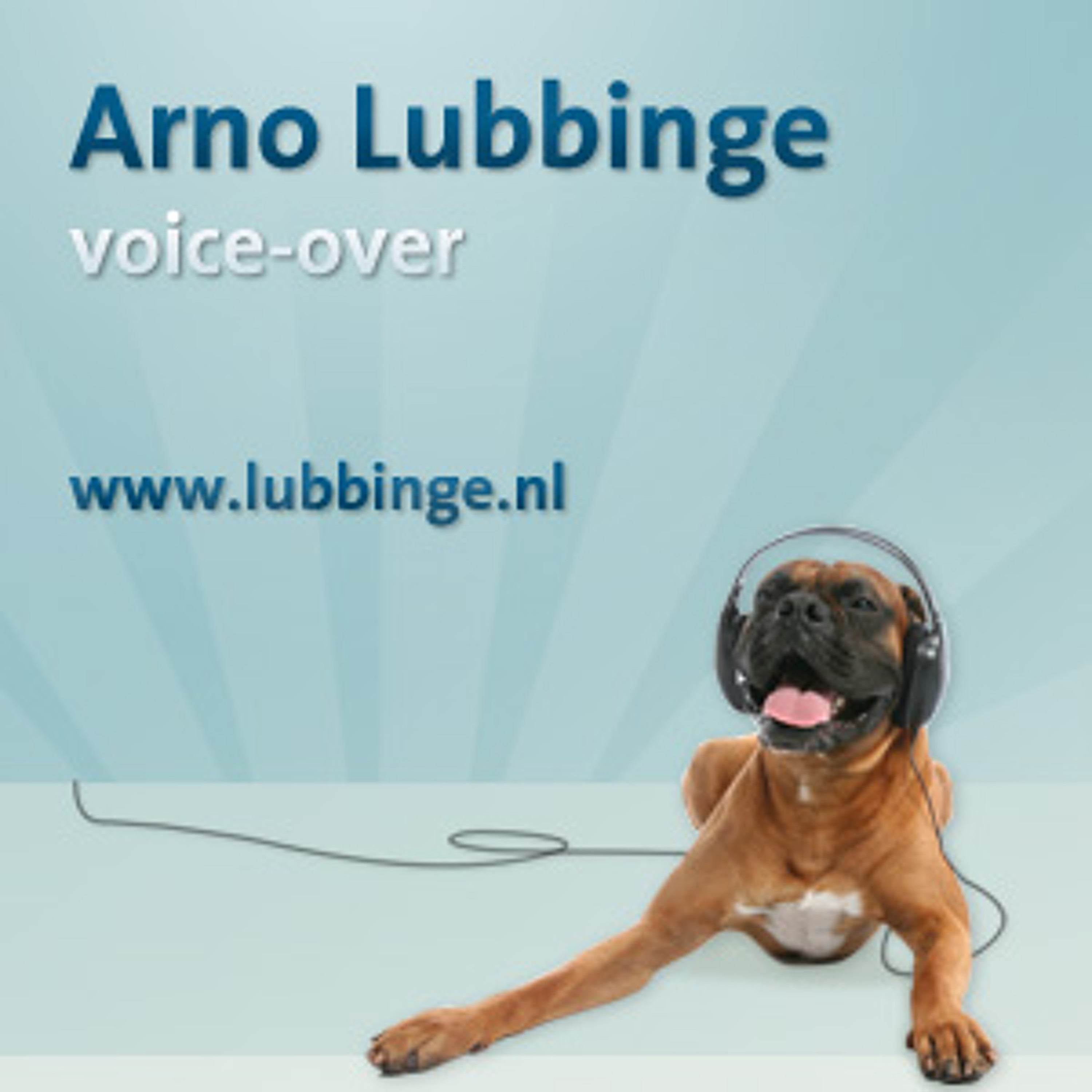 Arno Lubbinge, voice-over