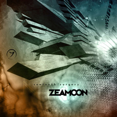 02 - Zeamoon - Quirlig (Zenon Rec)