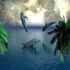 Frederic Chopin - Nocturne b flat minor, Op 9, No 1