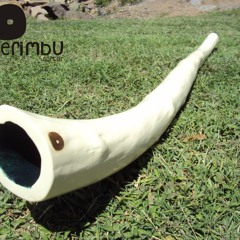 (6) Sound Sample - Didgeridoo de Alamo Blanco - Drone: Eb - Overtones: E, C