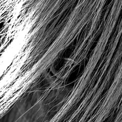 In the Eye of It