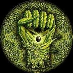 tribetek
