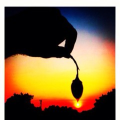 ก้อนหินละเมอ