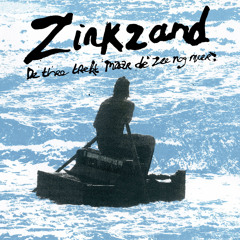 Het is altijd wat op het wad - Zinkzand