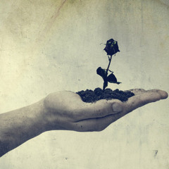 Static Euphonic - The Withered Rose