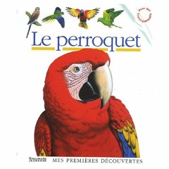 Arthur est un perroquet