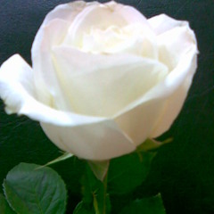 ေနရာတိုင္းမွာ(ေအသင္ခ်ိဳေဆြ)