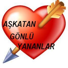 Olgun Şimşek - Yar Demedin