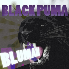 BLUMAN - BLACK PUMA (original mix)
