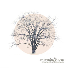 01. Mindwave - Intro
