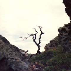 Dine Doneff - Cap de Creus (1999)