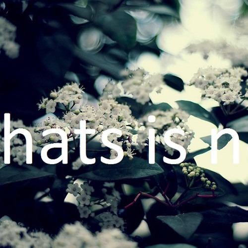 wpcwe - whats is not (original)