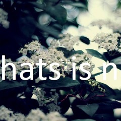 wpcwe - whats is not (rmake)